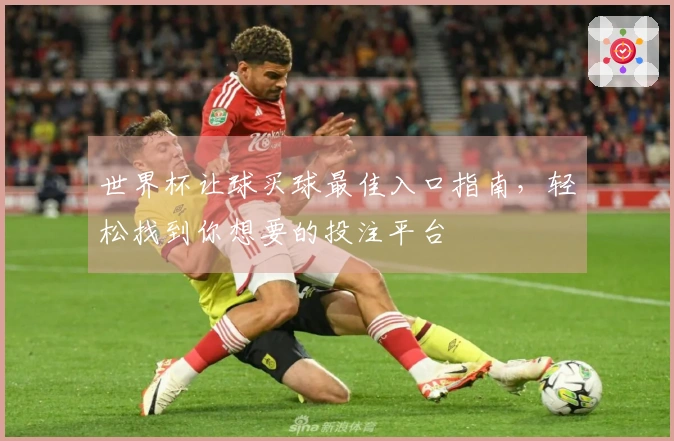 世界杯让球买球最佳入口指南,轻松找到你想要的投注平台