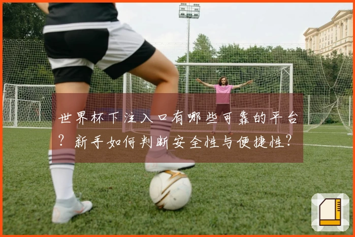 世界杯下注入口有哪些可靠的平台？新手如何判断安全性与便捷性？