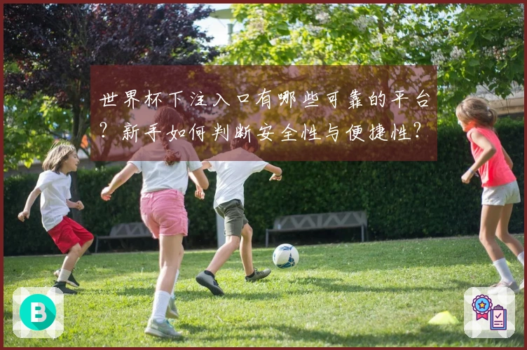 世界杯下注入口有哪些可靠的平台？新手如何判断安全性与便捷性？