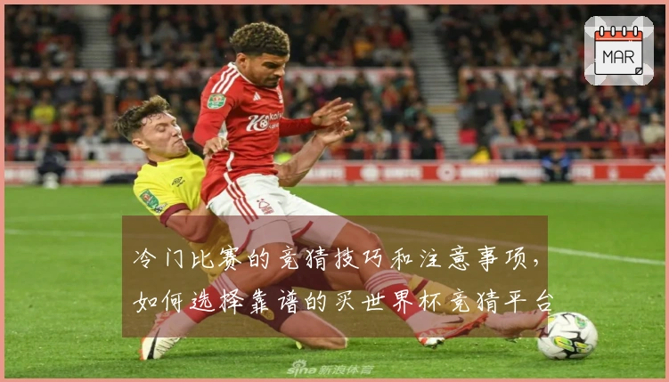冷门比赛的竞猜技巧和注意事项，如何选择靠谱的买世界杯竞猜平台
