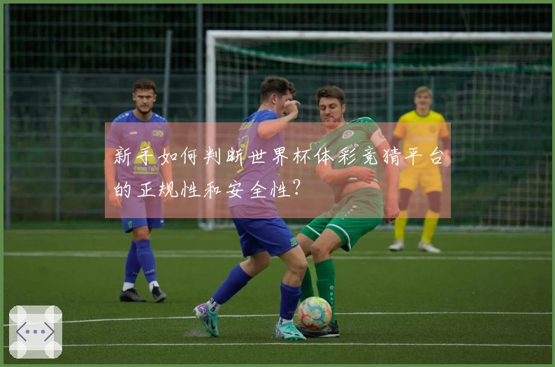 新手如何判断世界杯体彩竞猜平台的正规性和安全性？