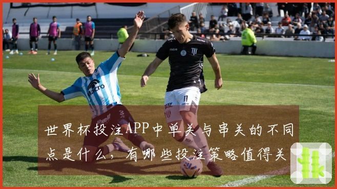 世界杯投注APP中单关与串关的不同点是什么，有哪些投注策略值得关注