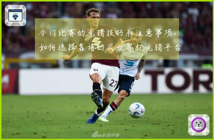冷门比赛的竞猜技巧和注意事项，如何选择靠谱的买世界杯竞猜平台